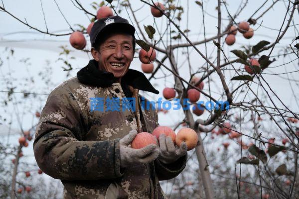 习近平总书记关心的苹果成为乡亲们脱贫致富的“幸福果”
